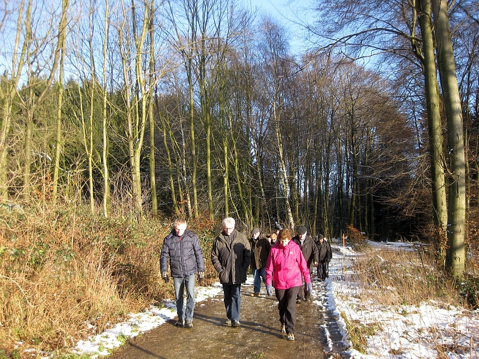 Wanderung durch den verschneiten heimischen Wald